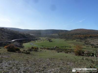 Parque Natural de Tejera Negra - Cantalojas - Guadalajara - Sierra de Ayllón;senderismo a medida